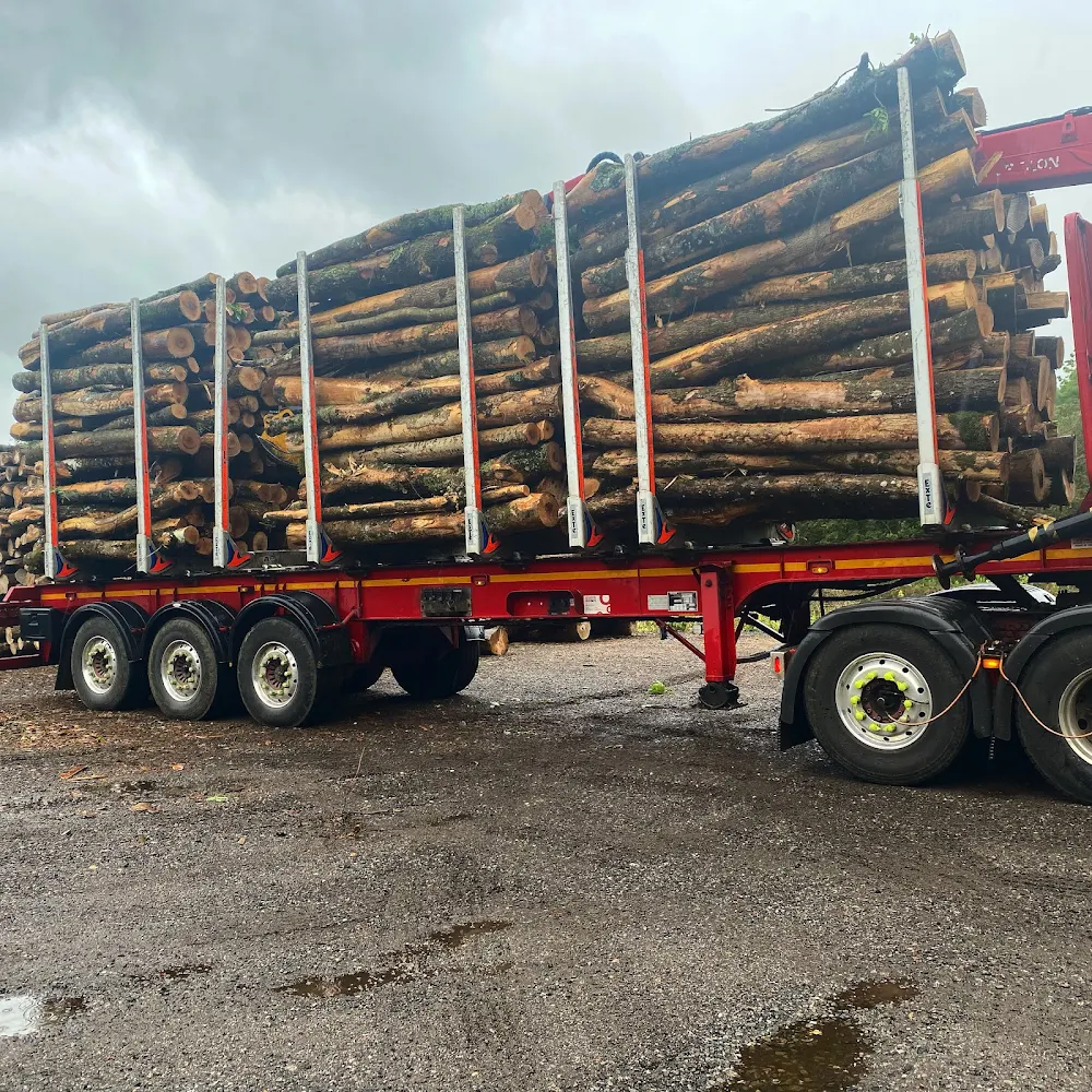 A semi truck carrying a large load of logs.