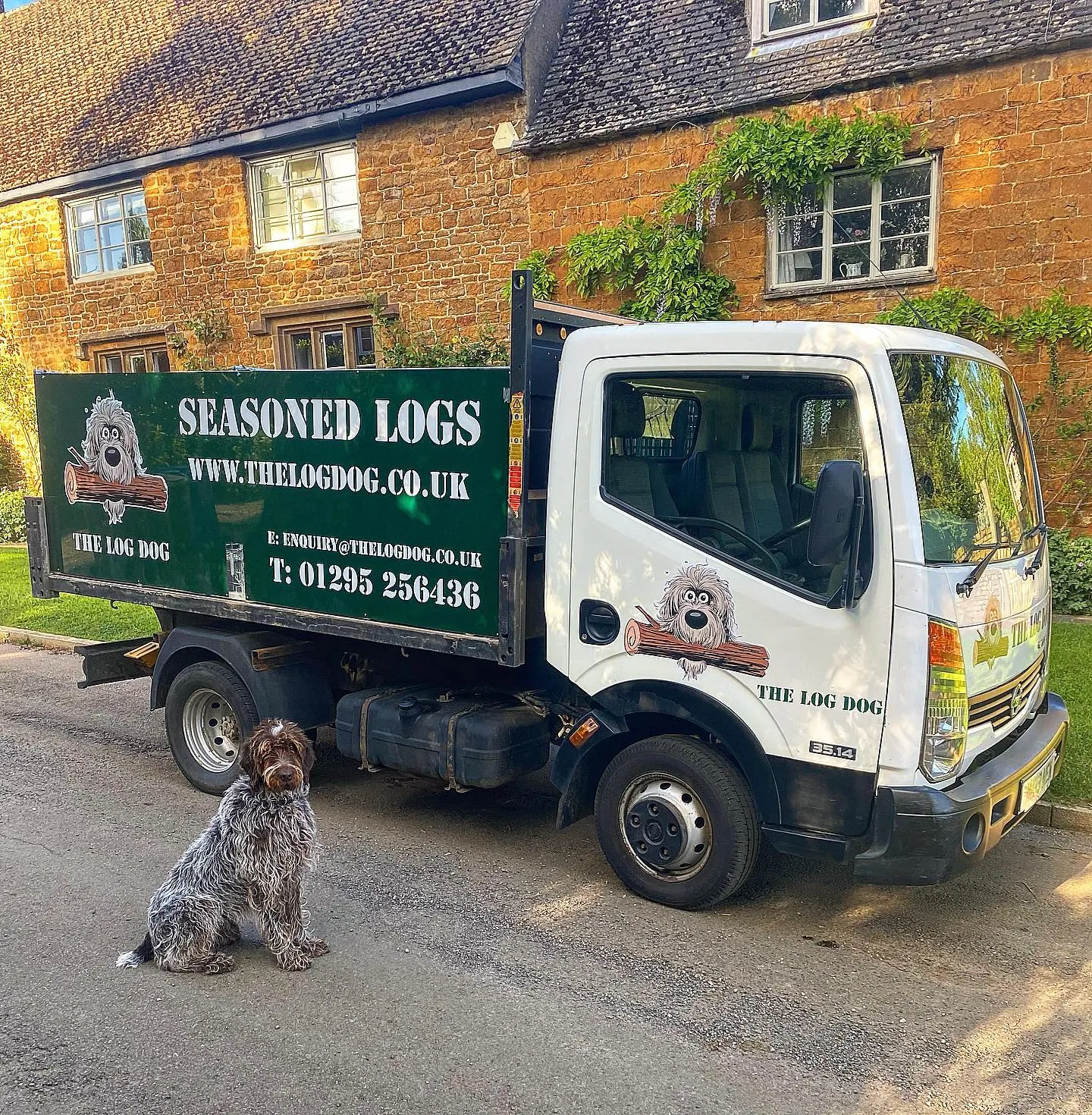 A dog is sitting in front of a truck.
