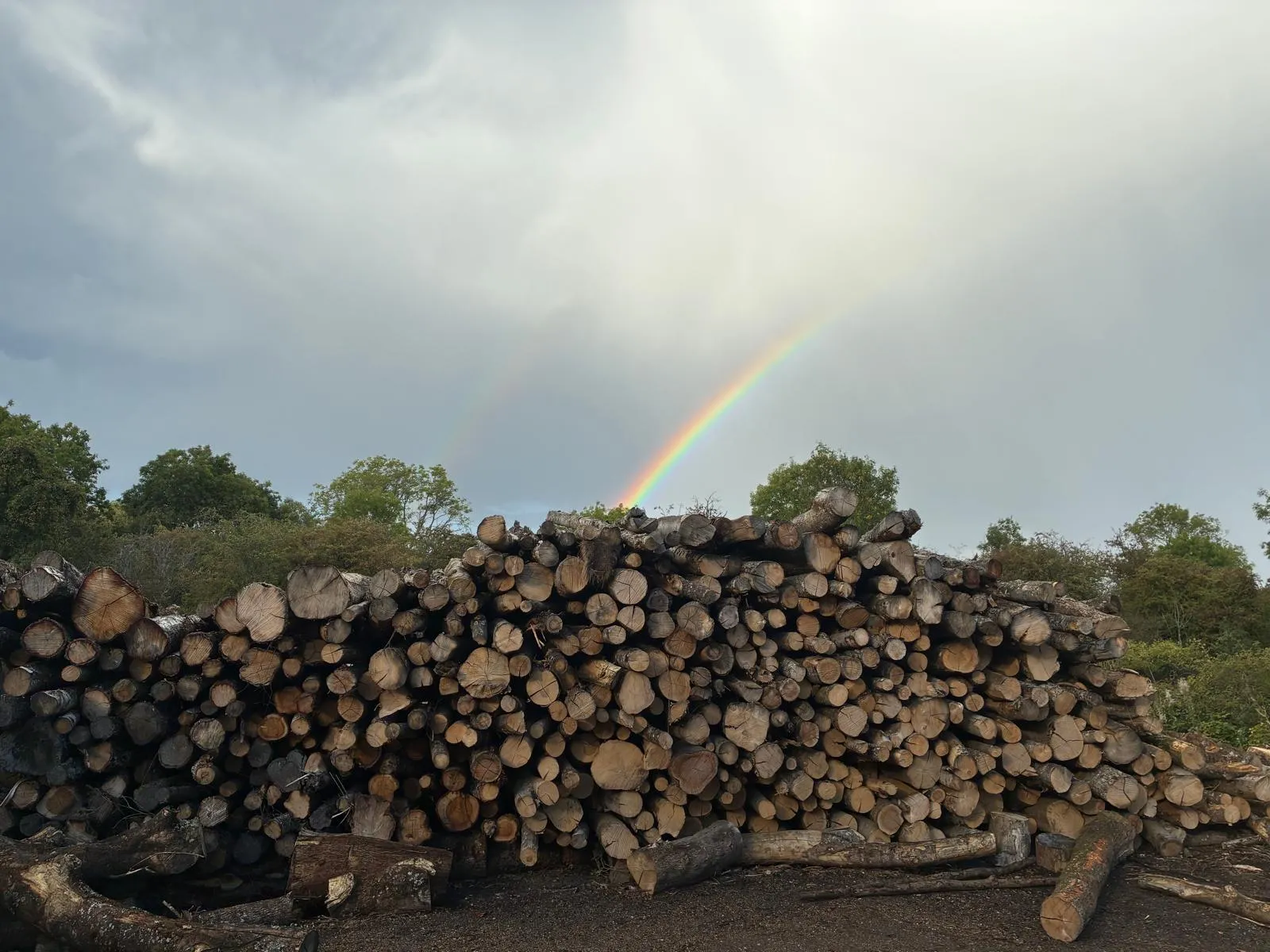 A pile of logs with a rainbow in the background.