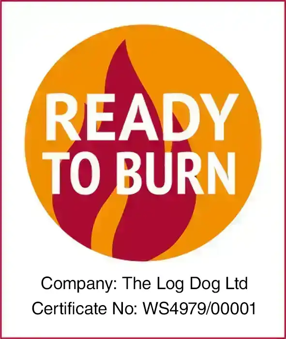 ready-to-burn-logo